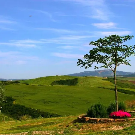 In Tuscany With Pool And Wine Tasting *