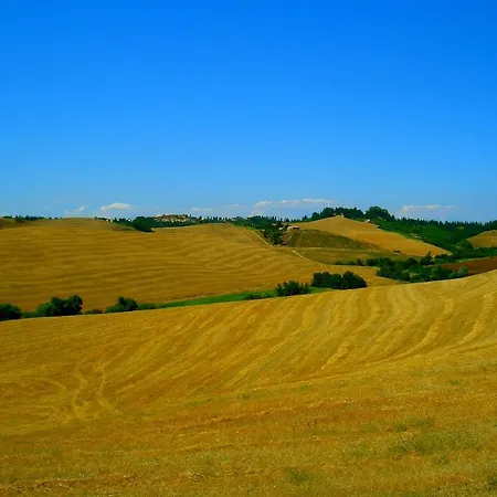 In Tuscany With Pool And Wine Tasting 別荘 *