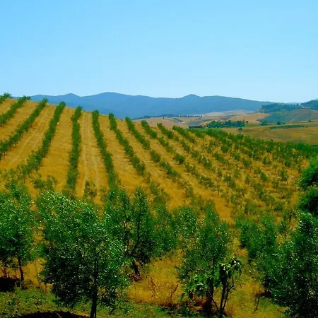 別荘 In Tuscany With Pool And Wine Tasting Molino Mazzetti